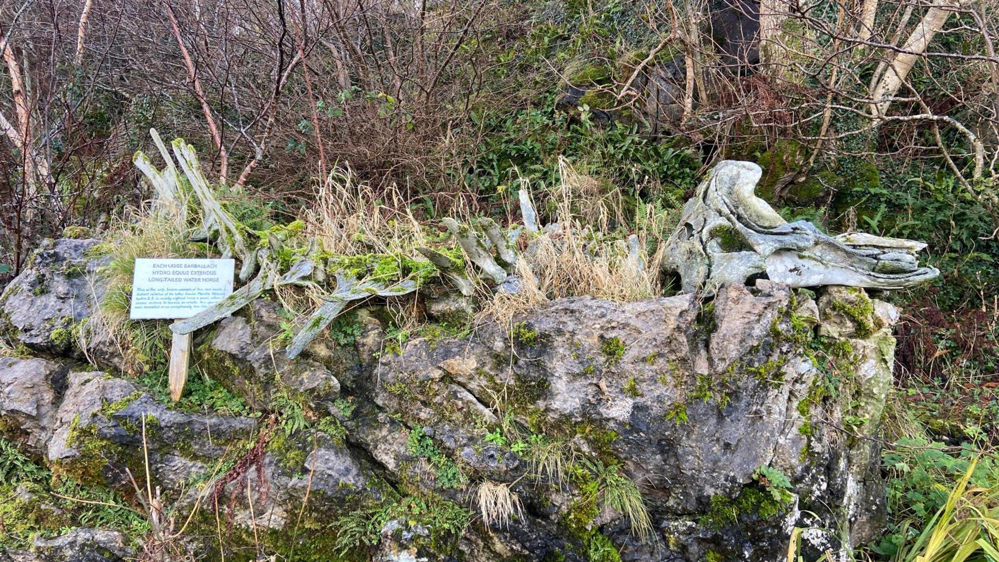 Carnmhor, Isle Of Skye - Stunning 242 Year Old Cottage On Its Own Sea Shore! Breakish Ngoại thất bức ảnh